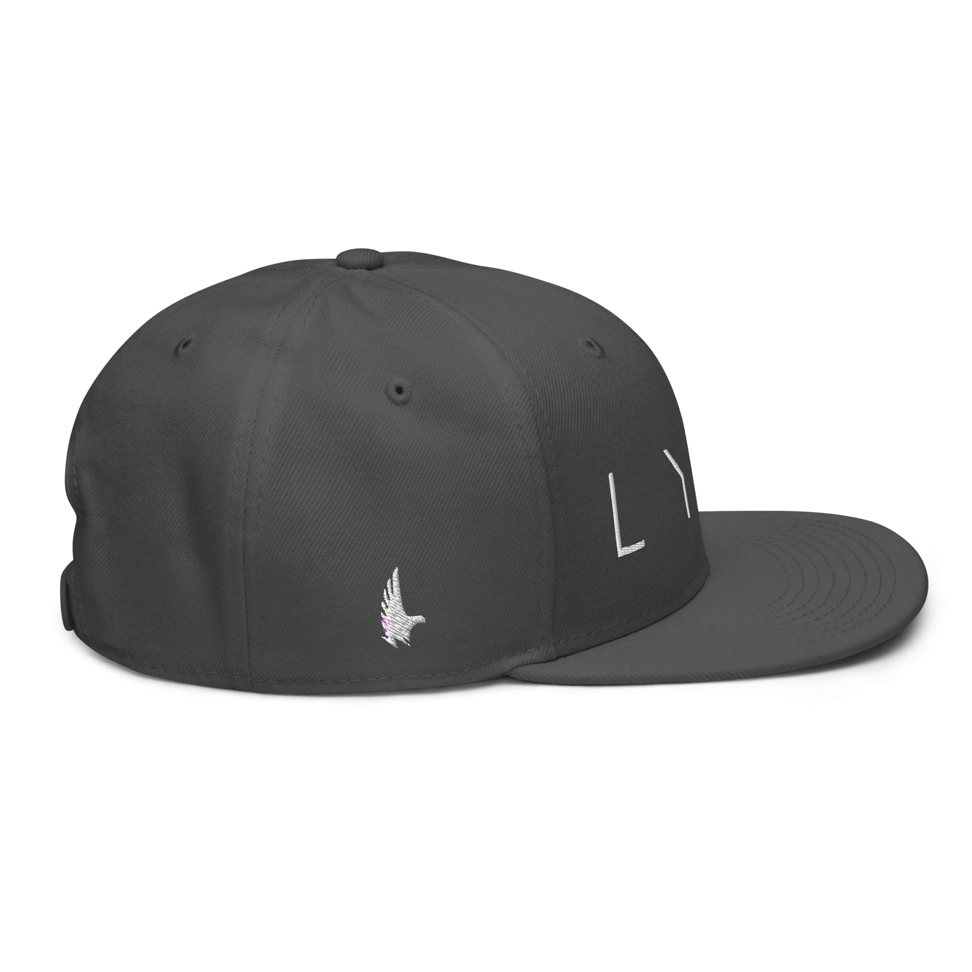 LYTY Snapback Hat