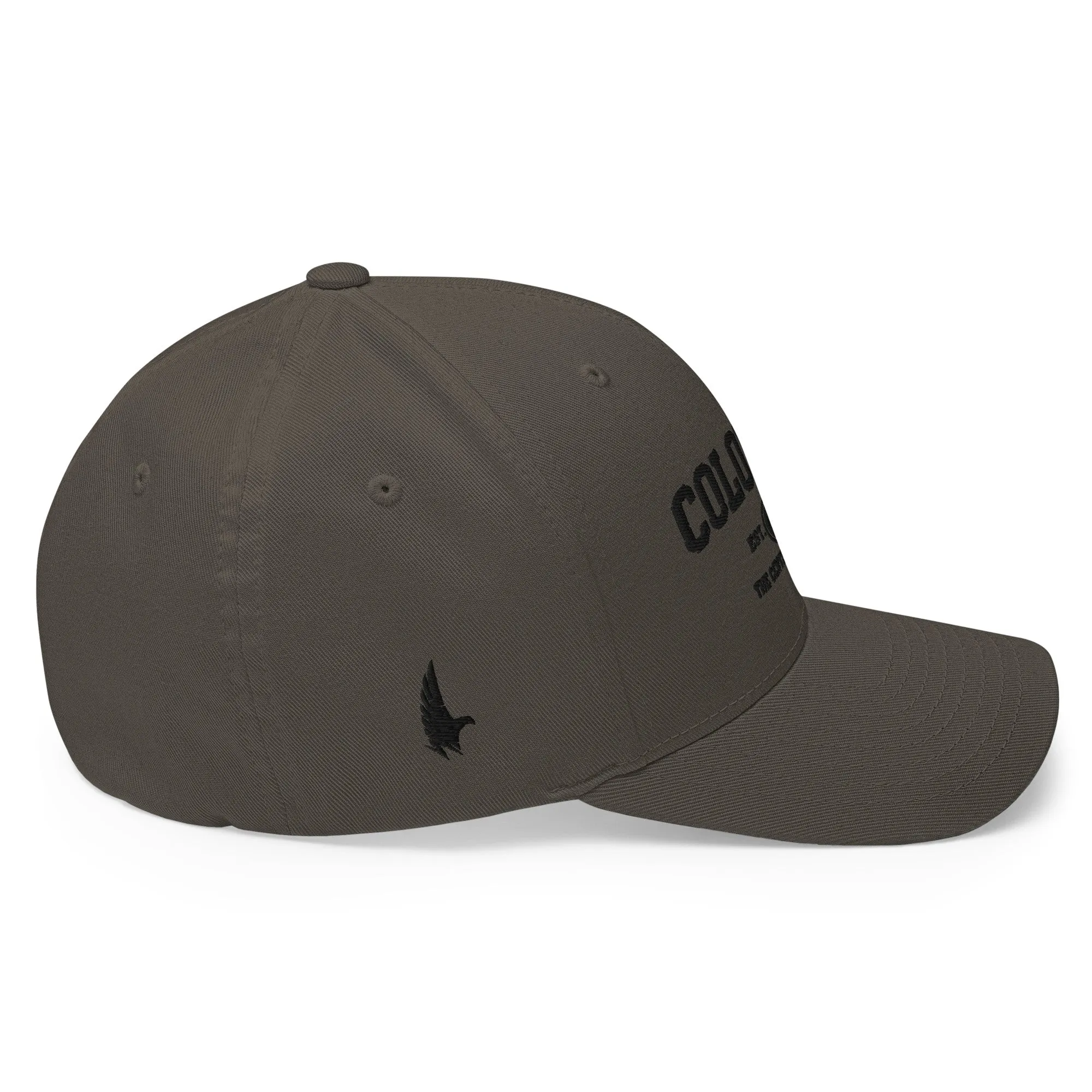 Sportswear Colorado Fitted Hat