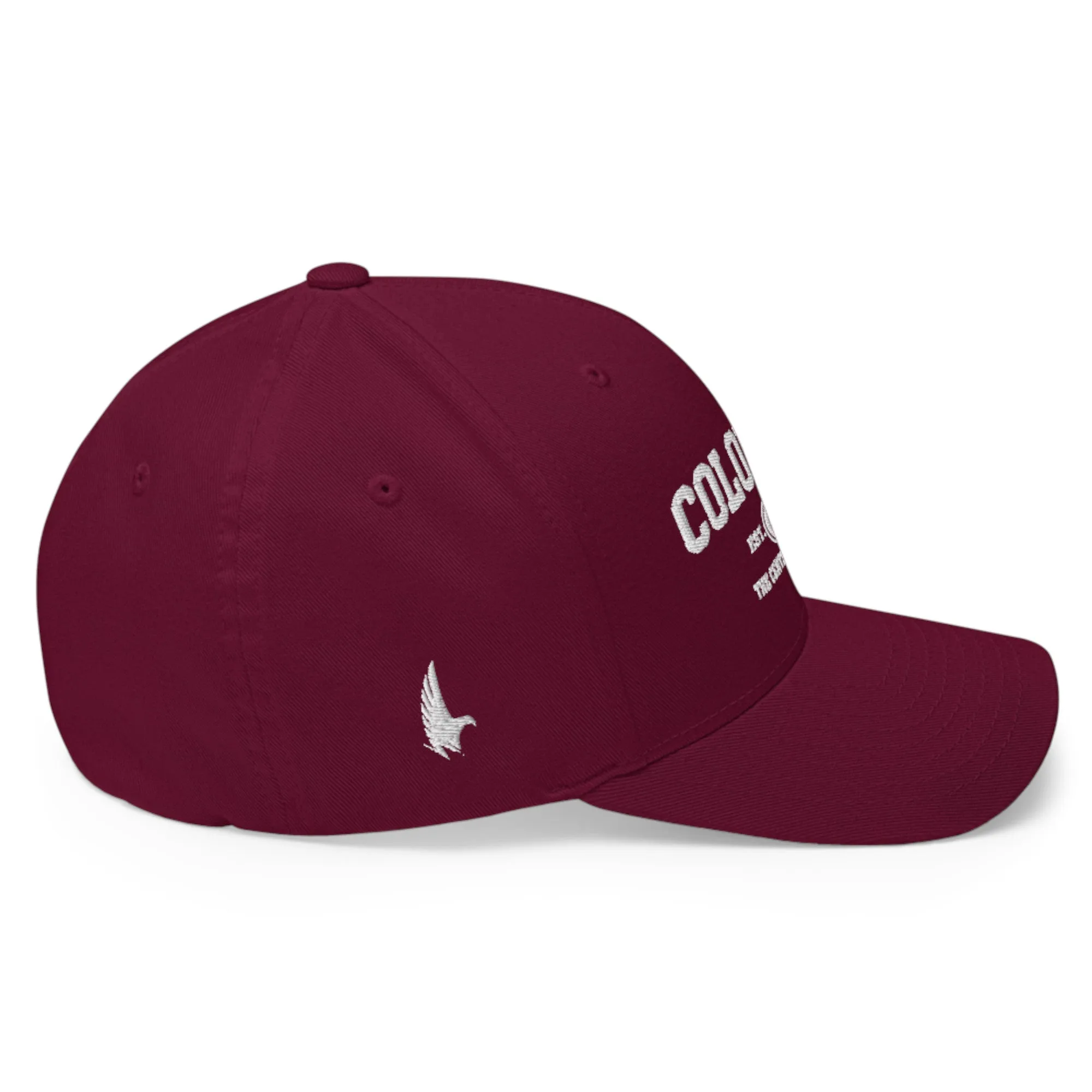 Sportswear Colorado Fitted Hat